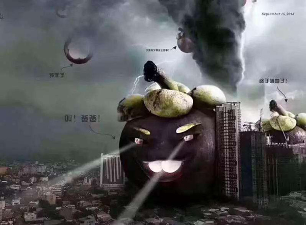 缩略图